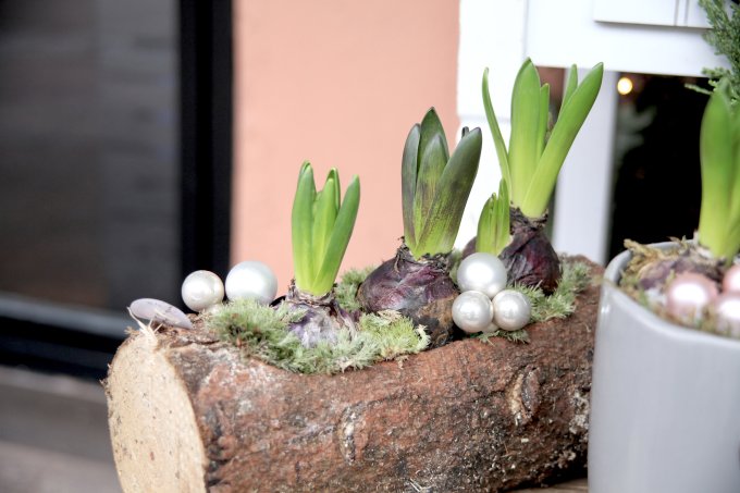 Les lutins de L'Échoppe photo 2